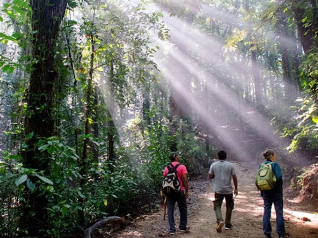 Hike in Udawatta Kele Sanctuary